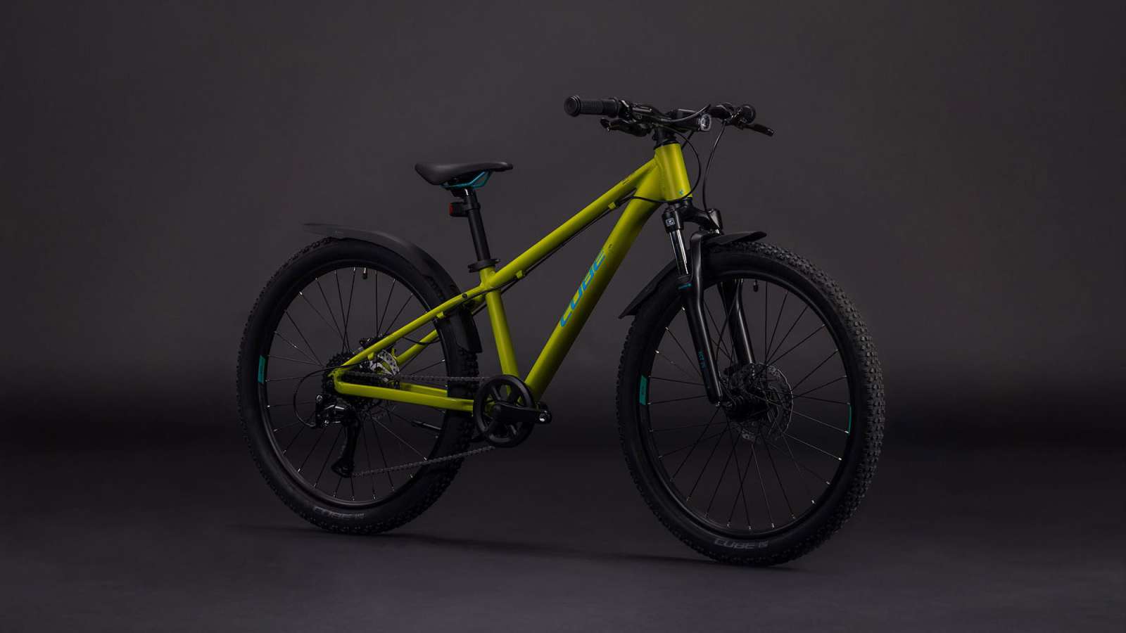 Cube Acid 240 Disc Fe Lizard'n'Blue