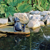 Ubbink -Froschspray -Figur