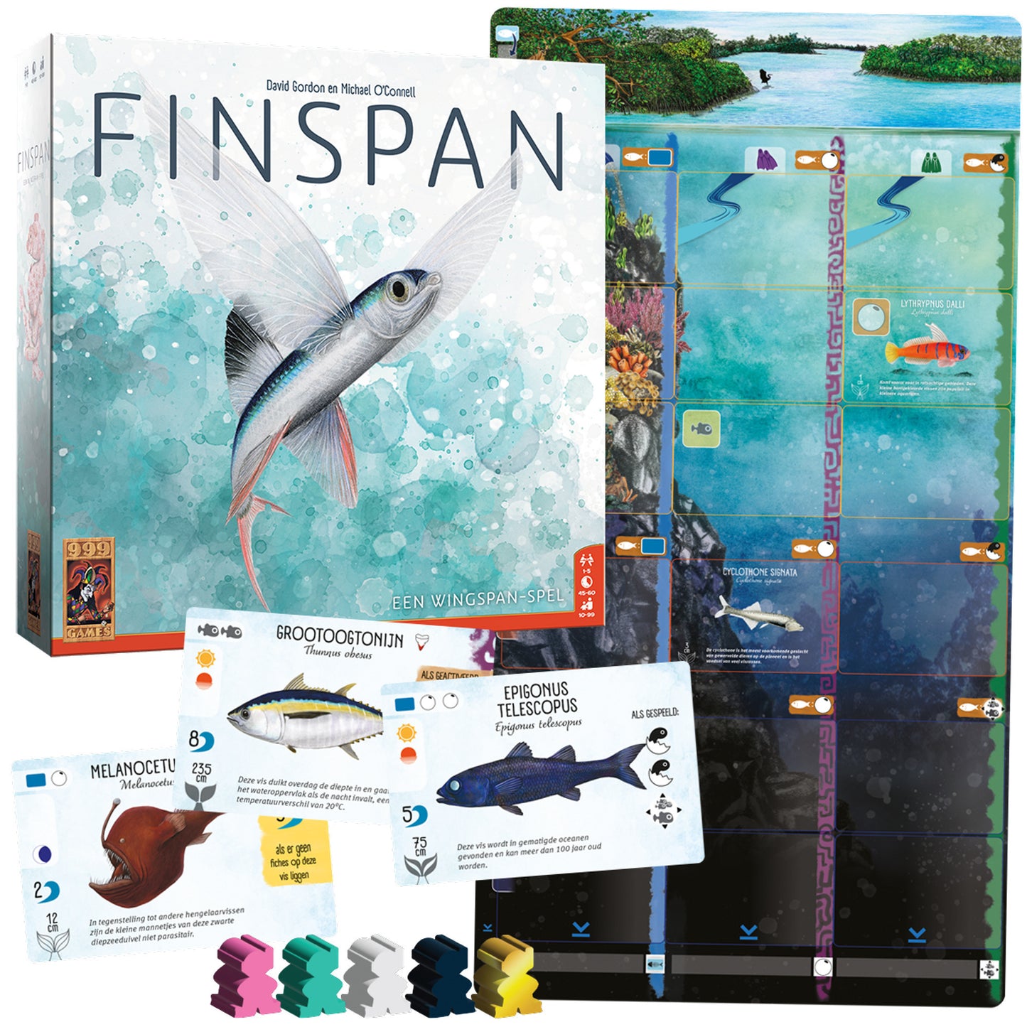 999Gaames 999 Games Finspan Bordspel