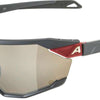 Alpina Twist Six Q – Sportbrille