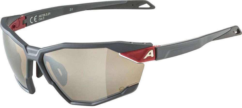 Alpina Twist Six Q – Sportbrille