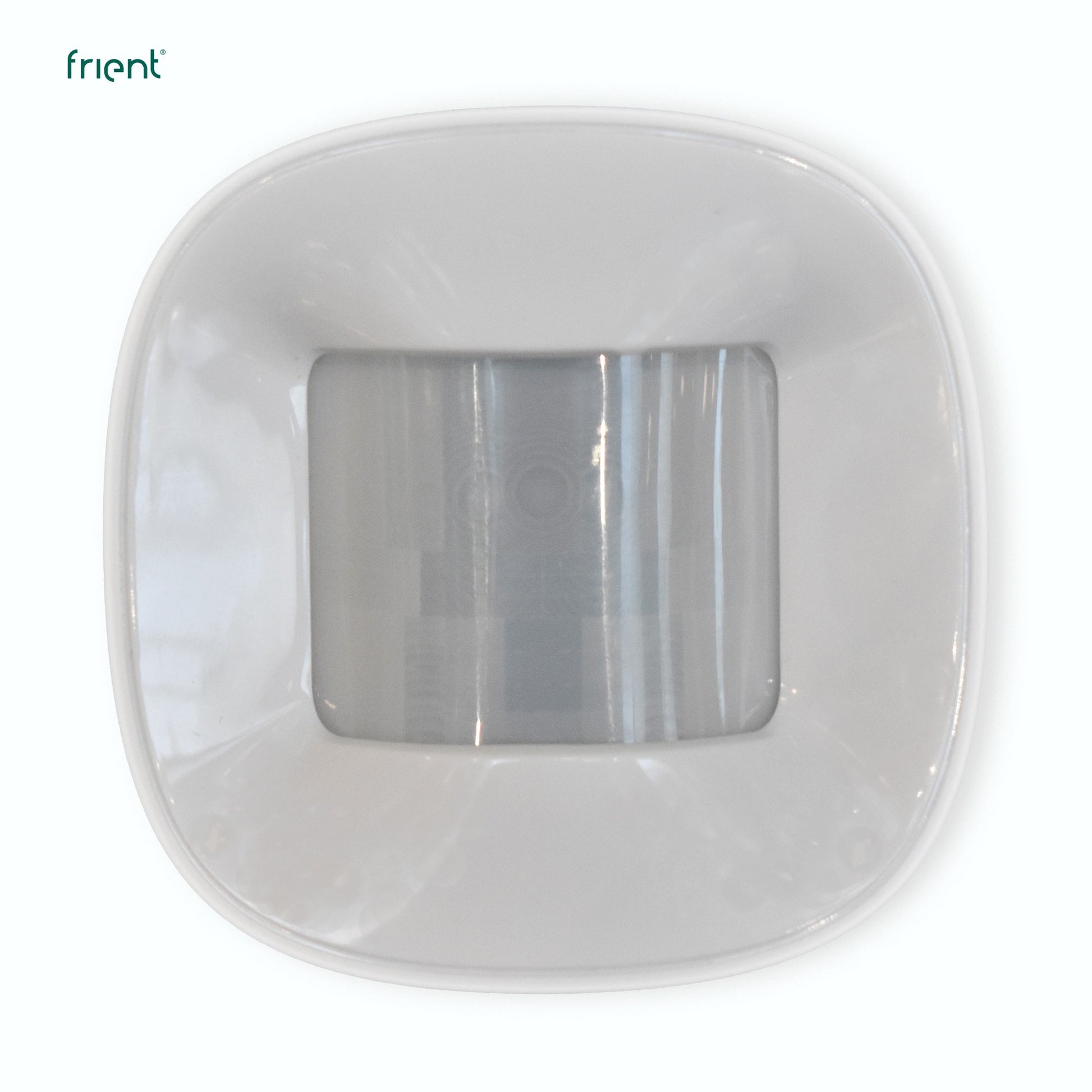 Frient Sensor 2 Haustier