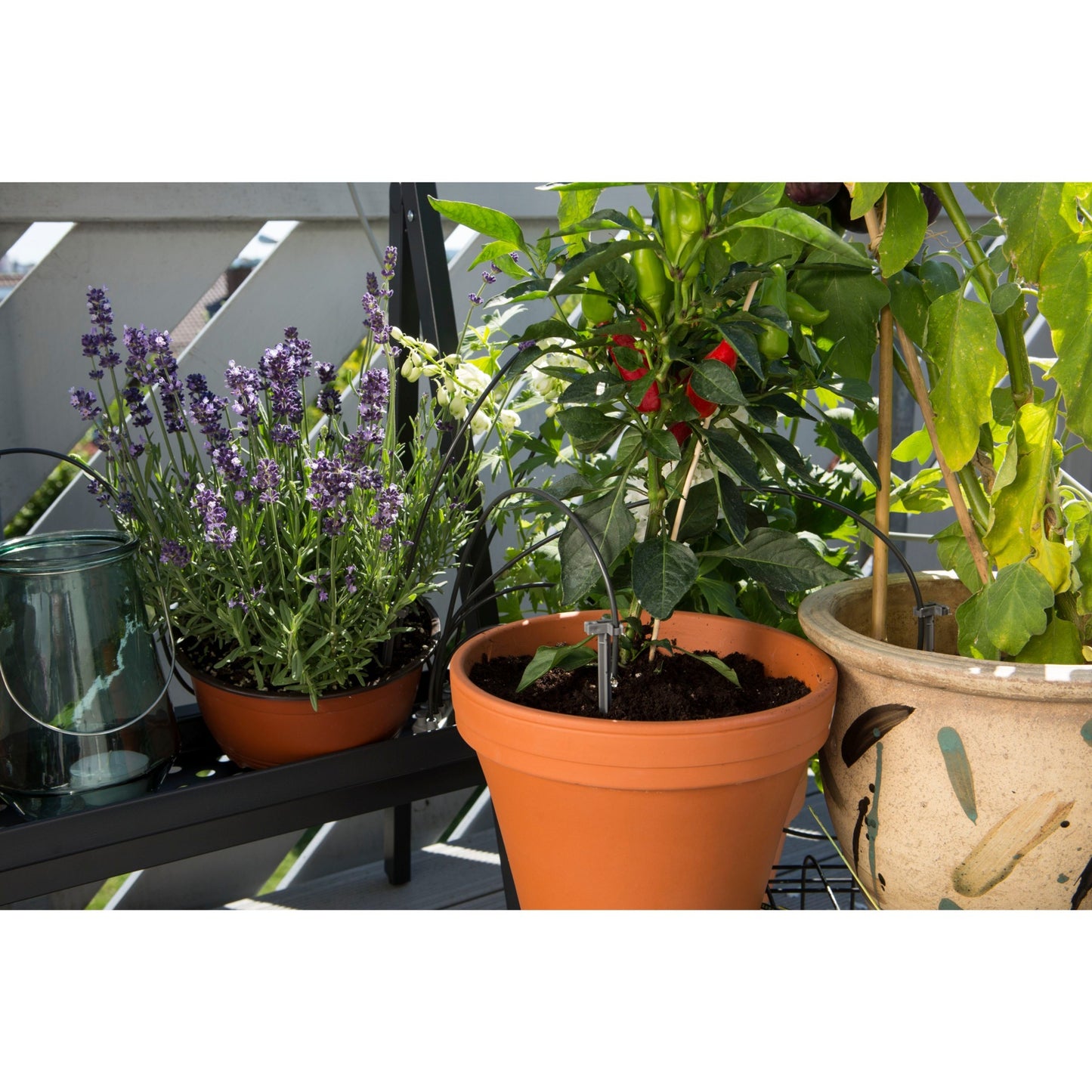Gardena Holiday Set Set