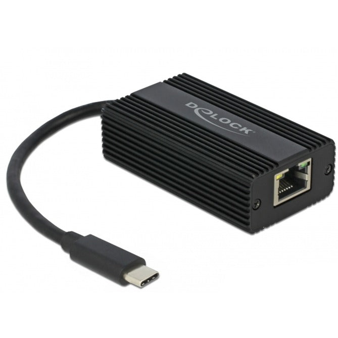 Delock USB-C-Mann> 2,5 Gigabit LAN