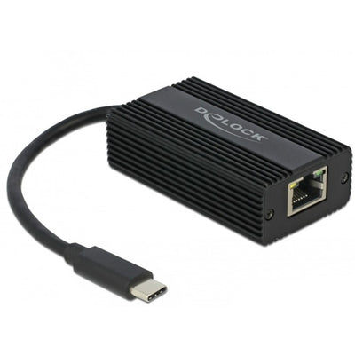 Delock USB-C-Mann> 2,5 Gigabit LAN