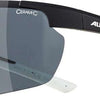 Alpina Defey HR – Sportbrille