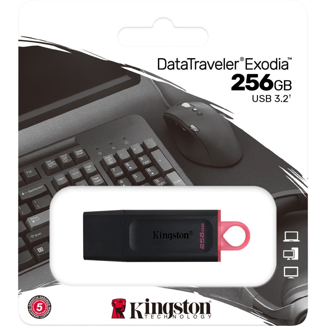 Kingston Datatraveler Exodia 256 GB