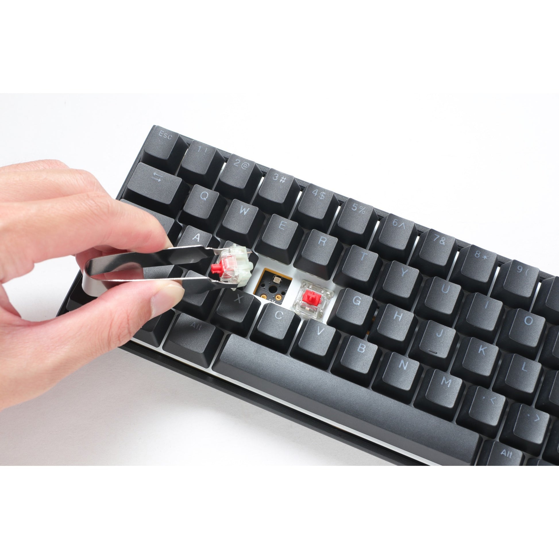 Ducky Mecha SF