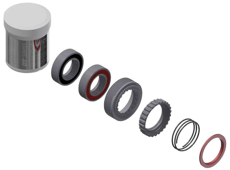 Dt Swiss Service Upgrade Kit 54t für Ratchet Exp Naben