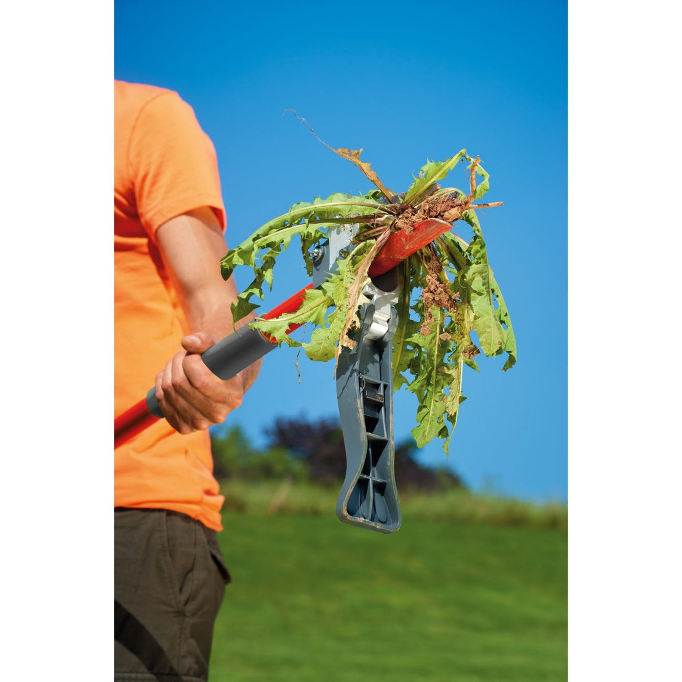 Wolf-Garten-Unkraut-Stecker iw-a