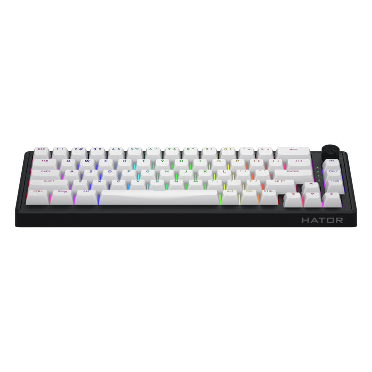 Hator Skyfall Wireless, Gaming-Tastatur (schwarz, US-Layout, Hator Aurum Sterling, 65 %, RGB, Double Shot ABS, Hot-Swap, 2,4 GHz Bluetooth USB-C)