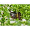 Gardena seriedDreppelaar 2 l u, Druckausgleich