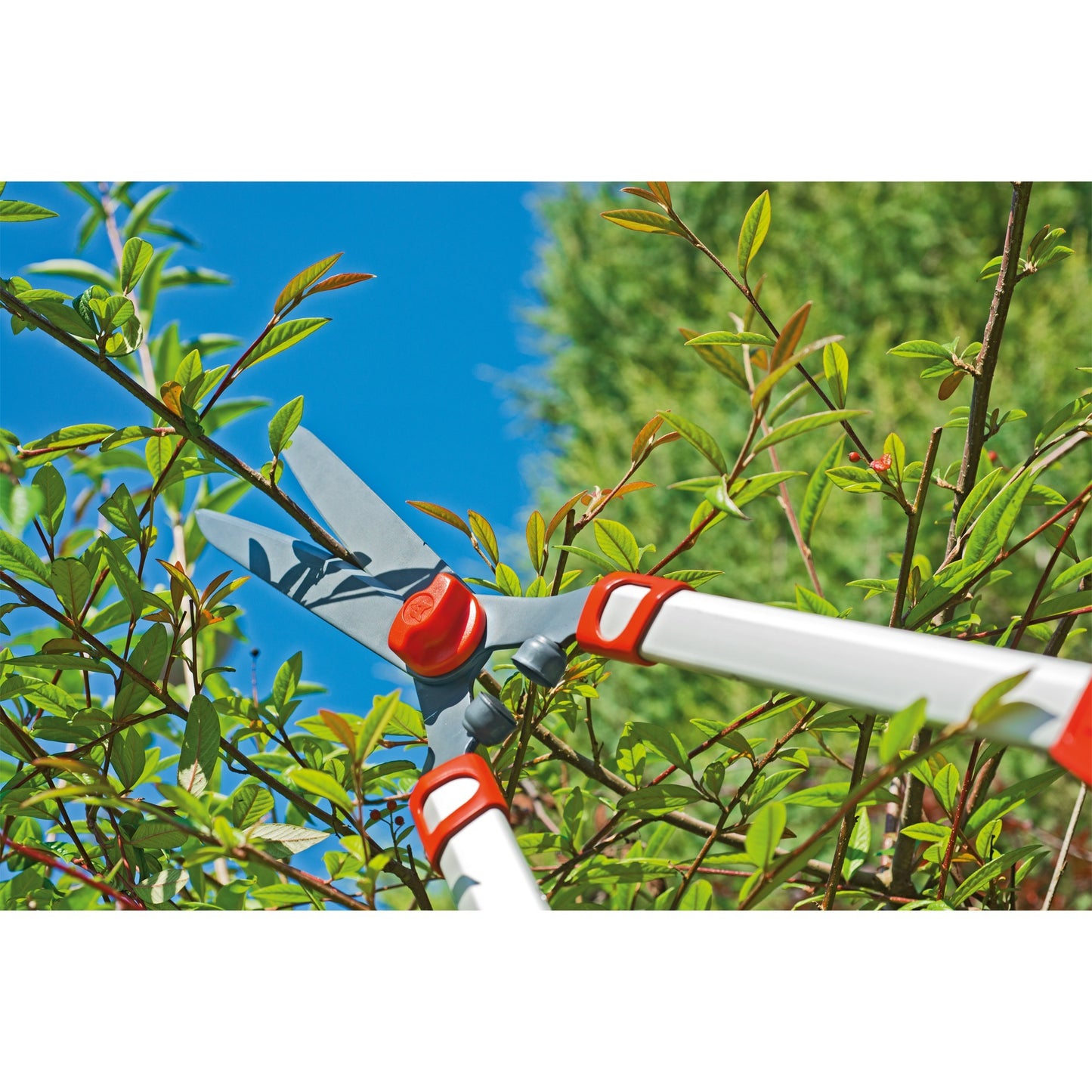 Wolf-Garten-Hedge-Schere Teleskop HS 1000 T.
