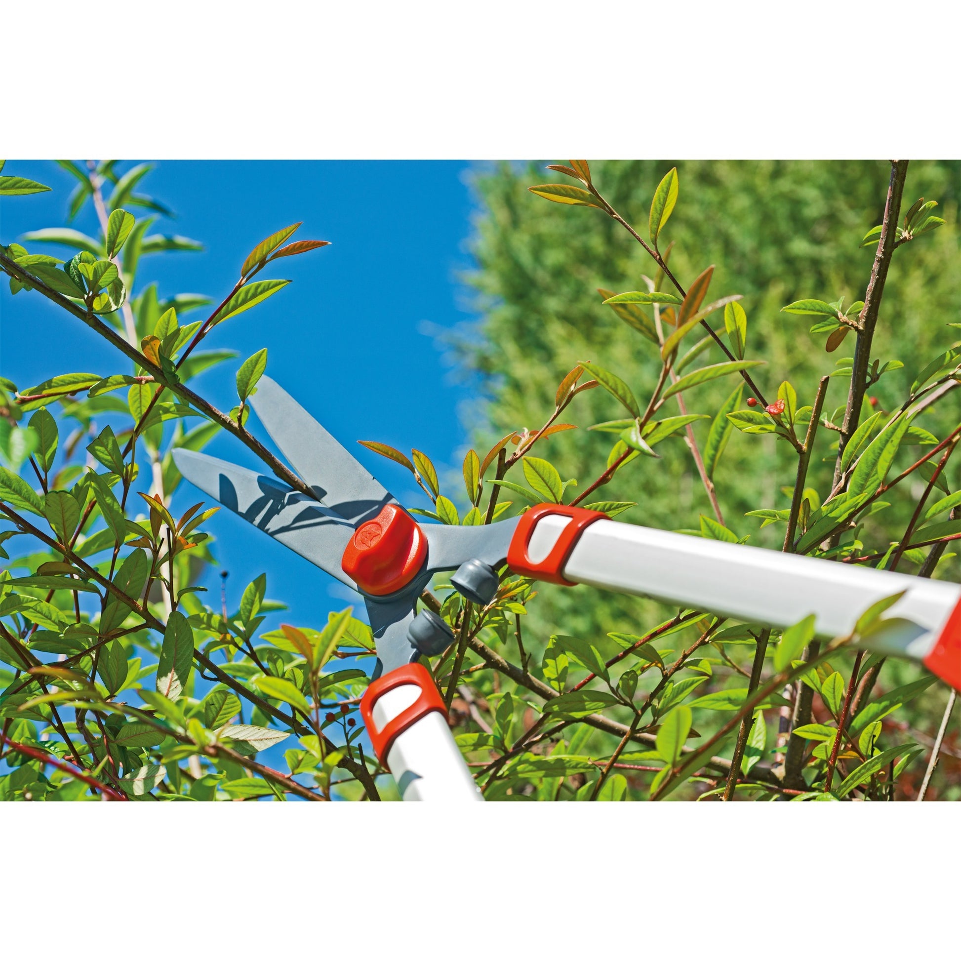 Wolf-Garten-Hedge-Schere Teleskop HS 1000 T.