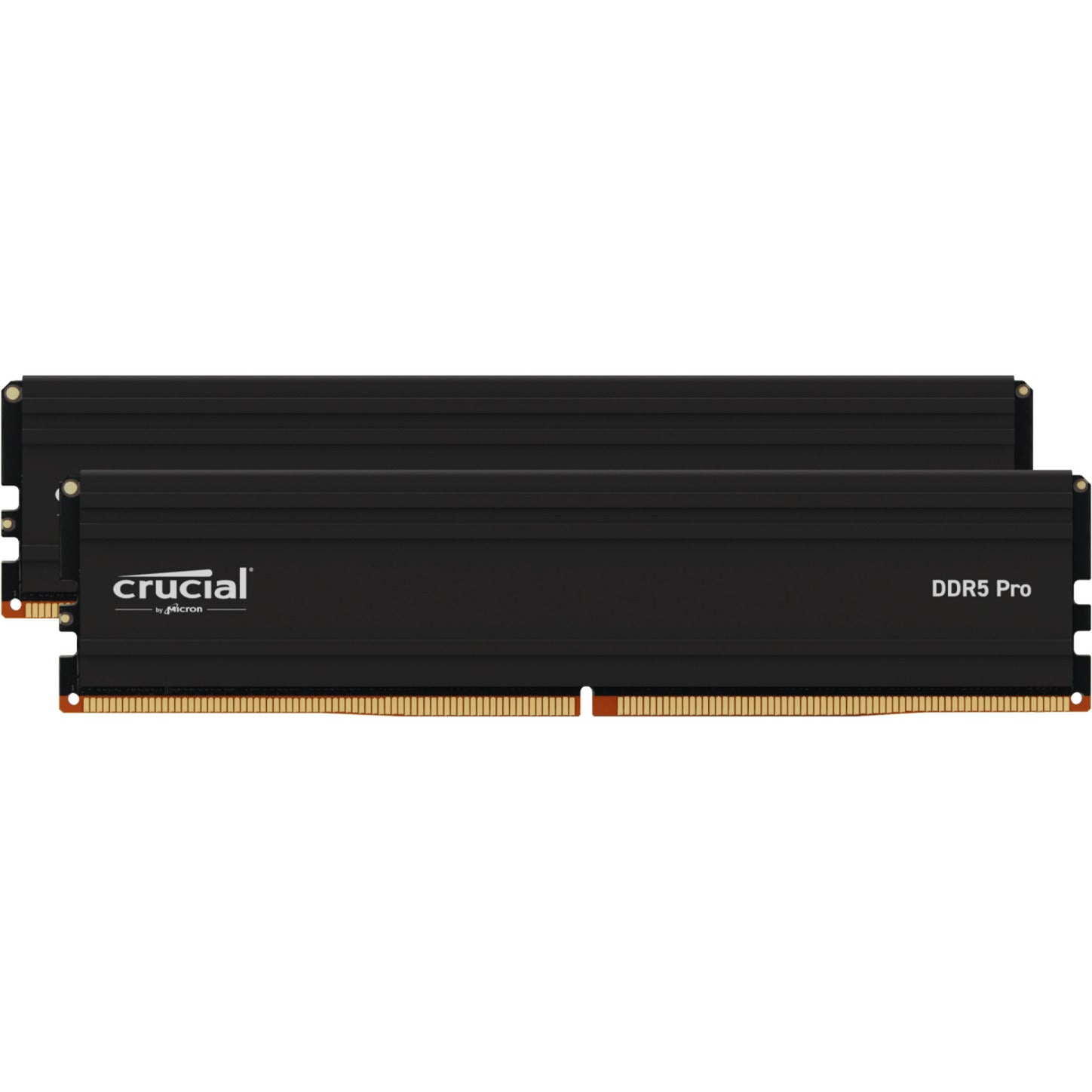 Entscheidender 32 GB DDR5-5600 Kit