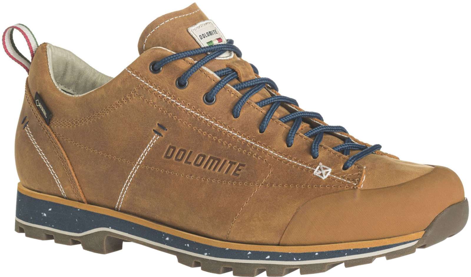 Dolomite 54 low fg evo gore-tex® - Multisportschuhe