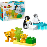 Lego Lego Duplo Town 10442 Familien wilder Tiere: Pinguine und Leeuwen - afbeelding 1