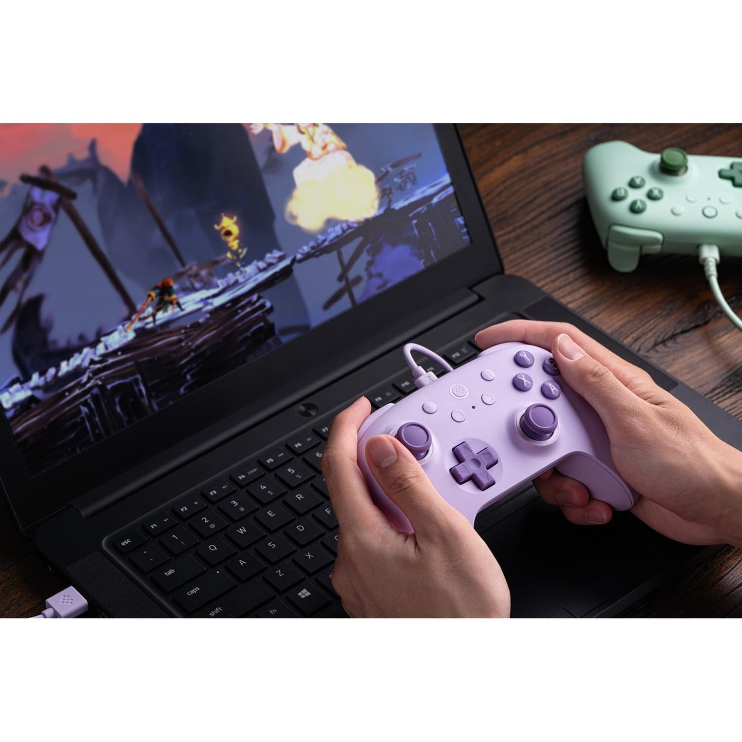 8bitdo ultimative 2c verkabelt