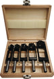 Fisch-Tools Scheibenschneider-Set | 5-teilig | 13mm Schaft | 1 Stück - 973c03605k 973c03605k