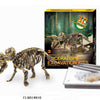 Aro schnitzt ein Dinosaurierskelett, einen Triceratops, 23 cm