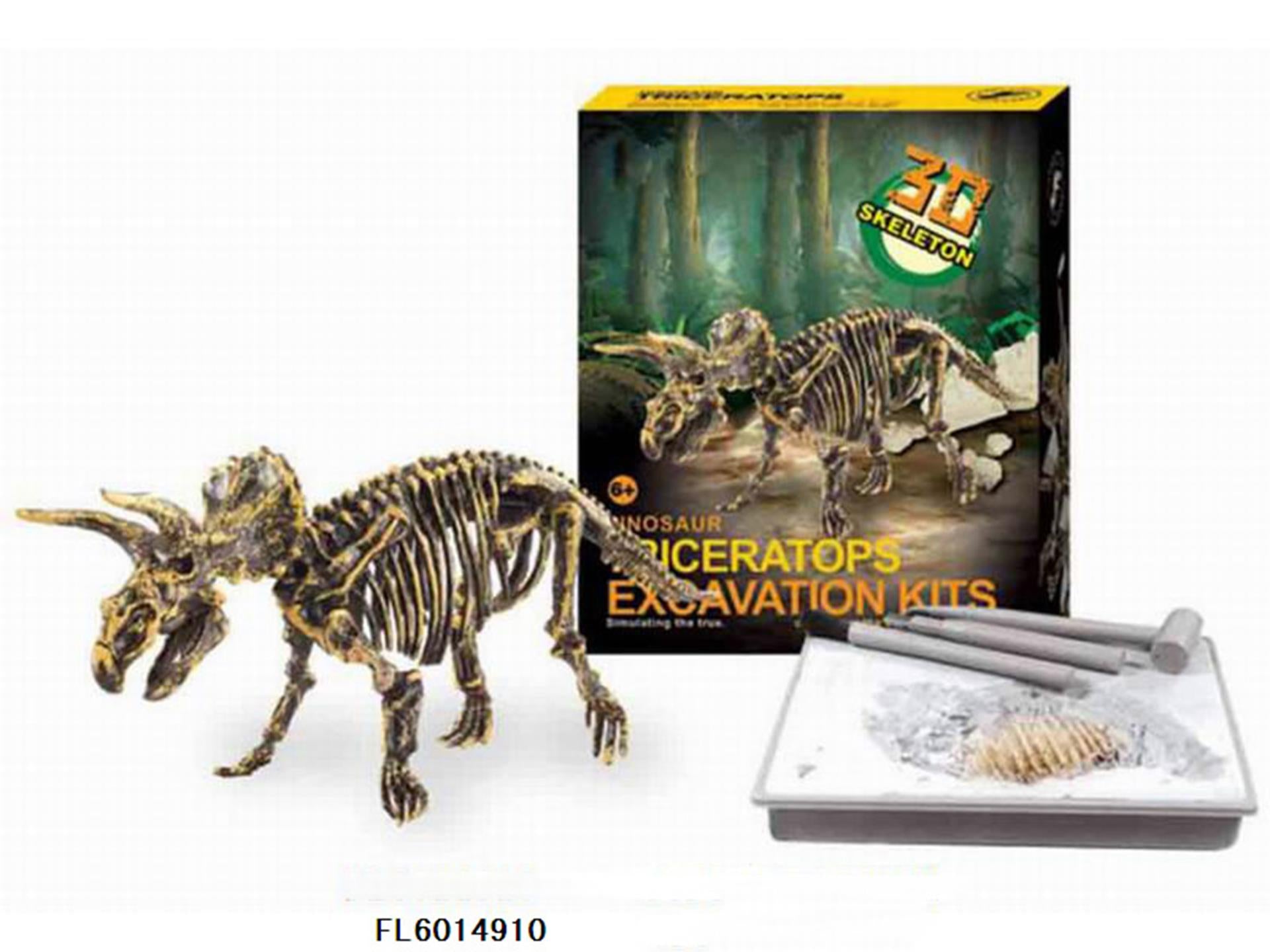 Aro schnitzt ein Dinosaurierskelett, einen Triceratops, 23 cm