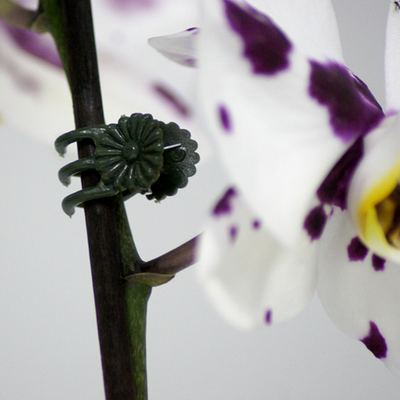 Connex Clips für Orchideen 30 Stk. - flor78840