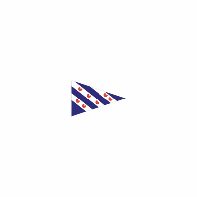 Dokkumer Flaggen Zentralpunktflagge Friesland 40x60 cm