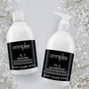 Farmavita Omniplex Professional System Bindungsverstärker Nr. 2 500 ml