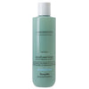 Farmavita Amethyst Advance Purify Schuppenkontrollshampoo 250 ml
