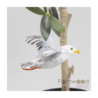 Farmwood Tiere Vogel Möwe fliegen