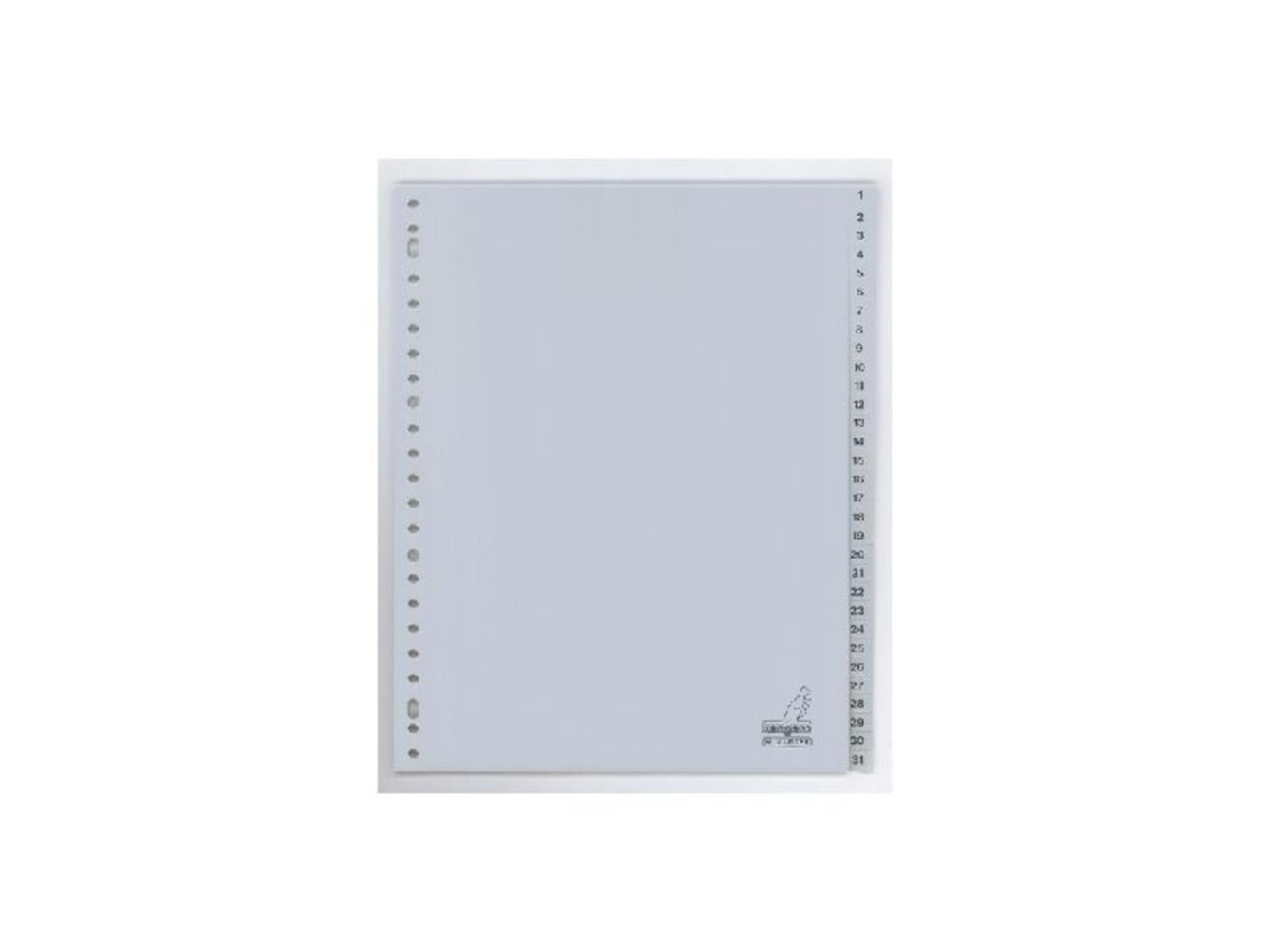 Kangaro-Tabs A4 23 Ringe Nummern 1-31