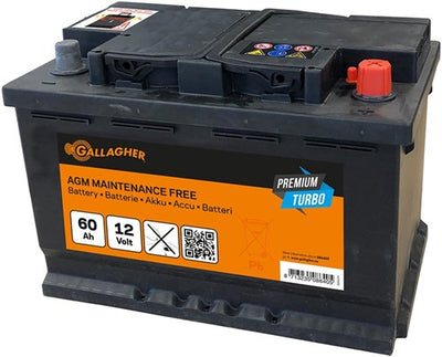 Gallagher Batterie 12 V 60 Ah Premium Turbo AGM – 242 x 175 x 190 – 086405 086405