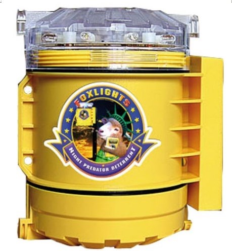 Gallagher-Fuchslichter – 061716 061716