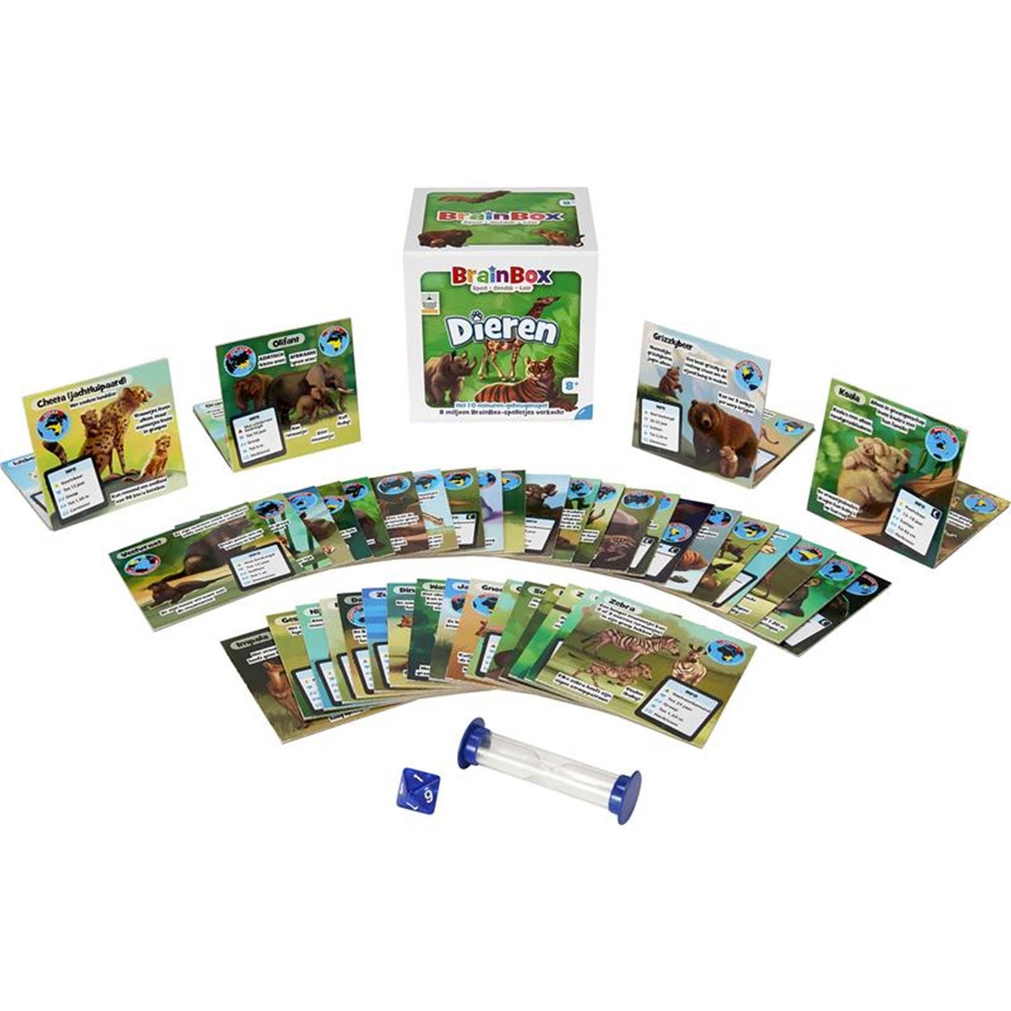 Asmodee Brainbox Animal Brettspiel