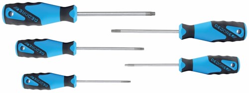 Gedore Schraubendrehersatz Torx 10-tlg. - 1482335