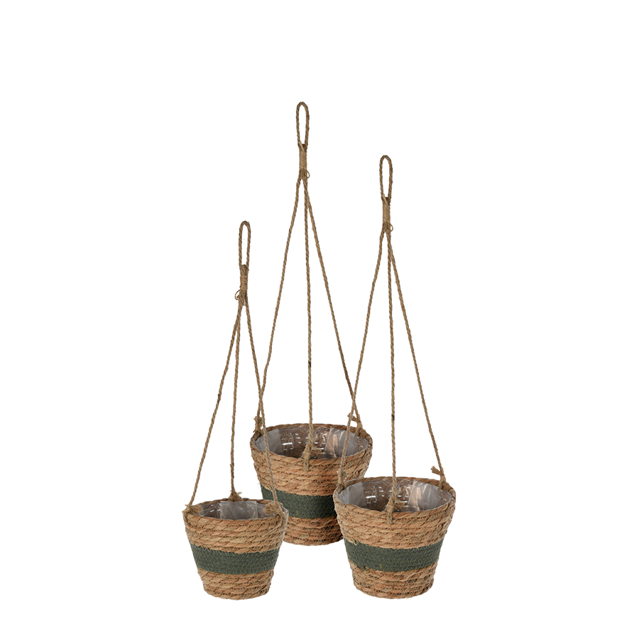 Hängendes Blumentopf-Set Rohrkolbenblatt dunkelgrün 3-teilig