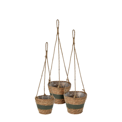 Hängendes Blumentopf-Set Rohrkolbenblatt dunkelgrün 3-teilig