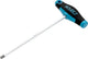 HAZET 6-KINNER SCHRAUBS.6MM 828-6