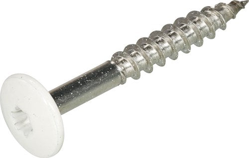 Hoenderdaal HPL-Schraube Edelstahl-A2 Torx TX20 reinweiß RAL9010 4,8x25 | 100 Stück - 0346.30.37124