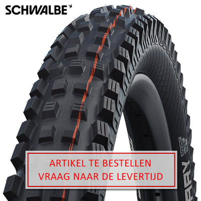 Schwalbe Reifenmagie Mary Evol.line 62-622