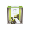 Ipuro ipuro Duftkerker Limettenlicht 125gr.