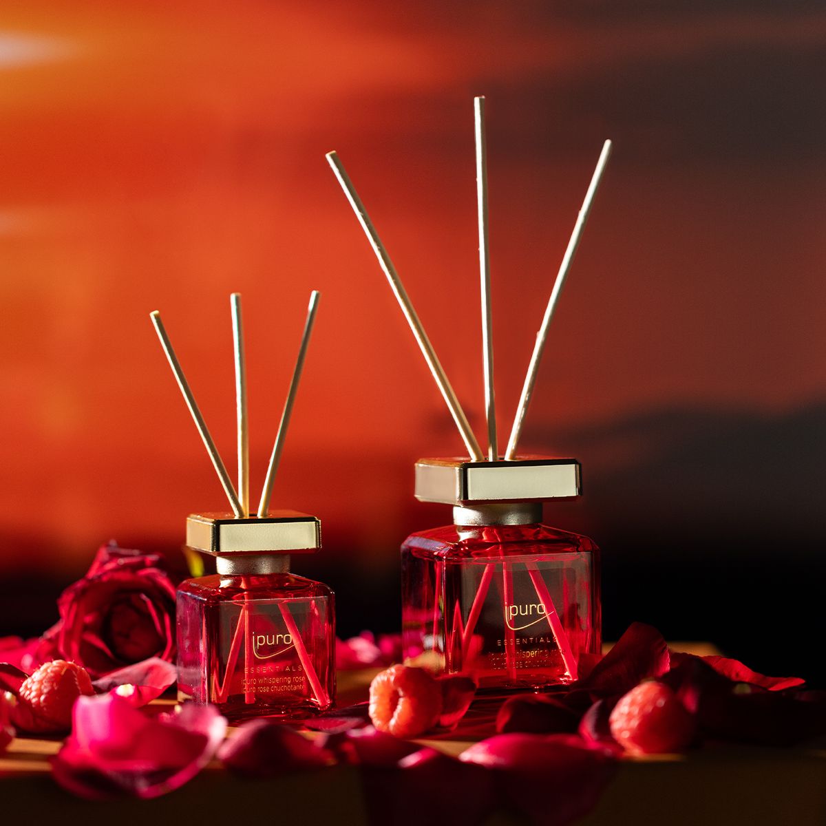 Ipuro Duftdiffusor Flüsternde Rose 50 ml