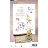 Studiolicht • Wachsende, blühende, klare Stempel, hoffnungsvolle Wirbel - afbeelding 2