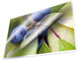 Kangaro-Laminierfolien, A4, Packung mit 25 Blatt