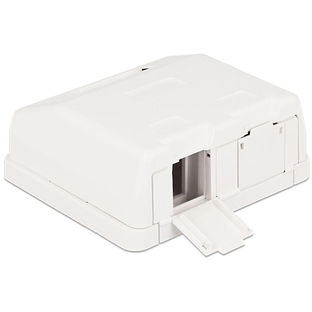 Delock Keystone Oberflächenbox 2 Port