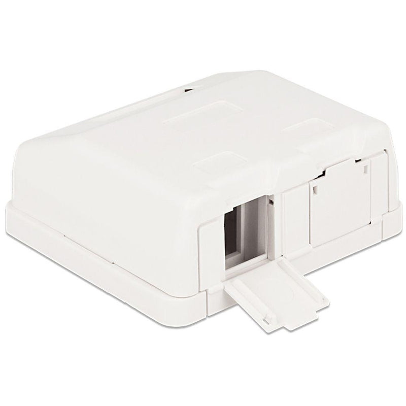 Delock Keystone Oberflächenbox 2 Port