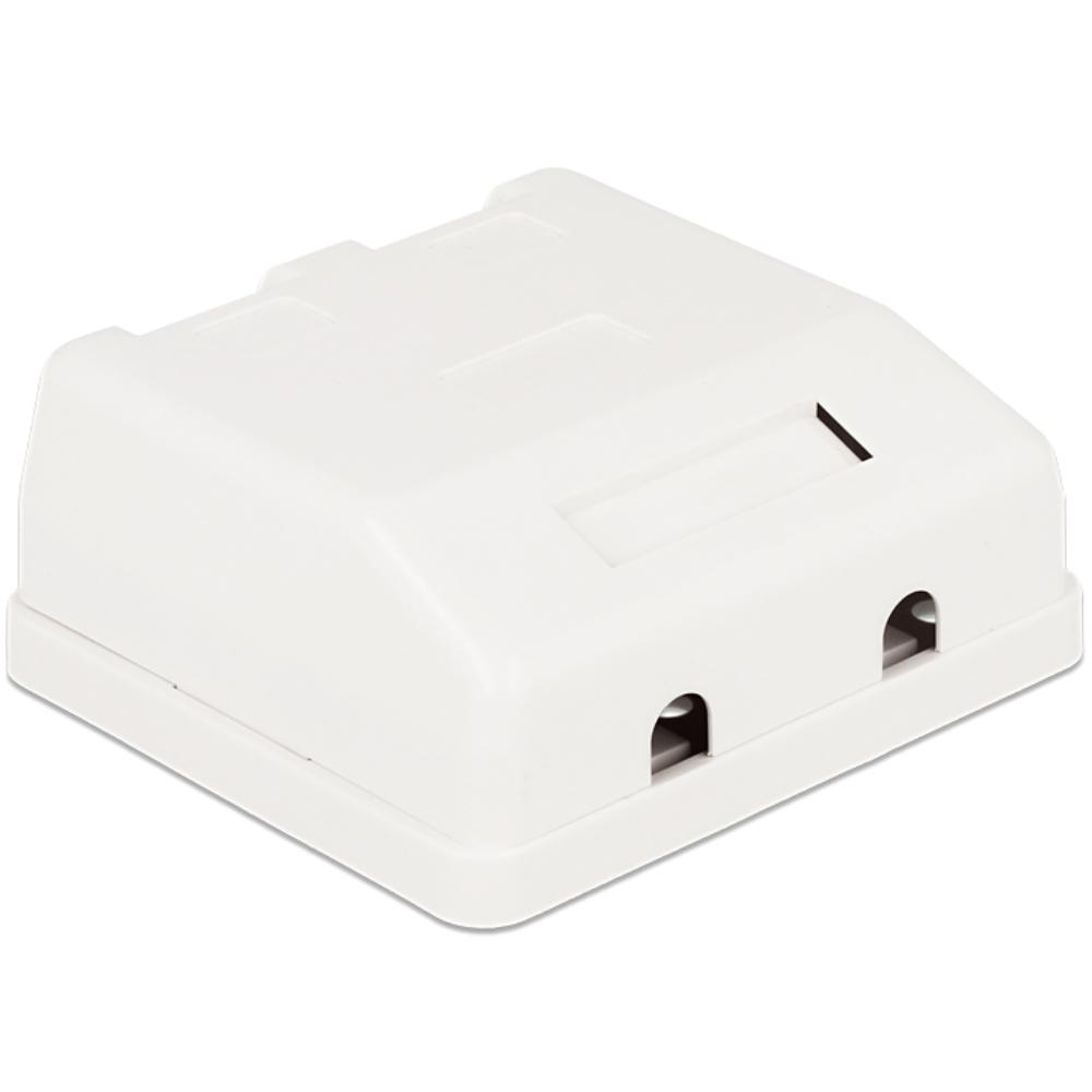 Delock Keystone Oberflächenbox 2 Port