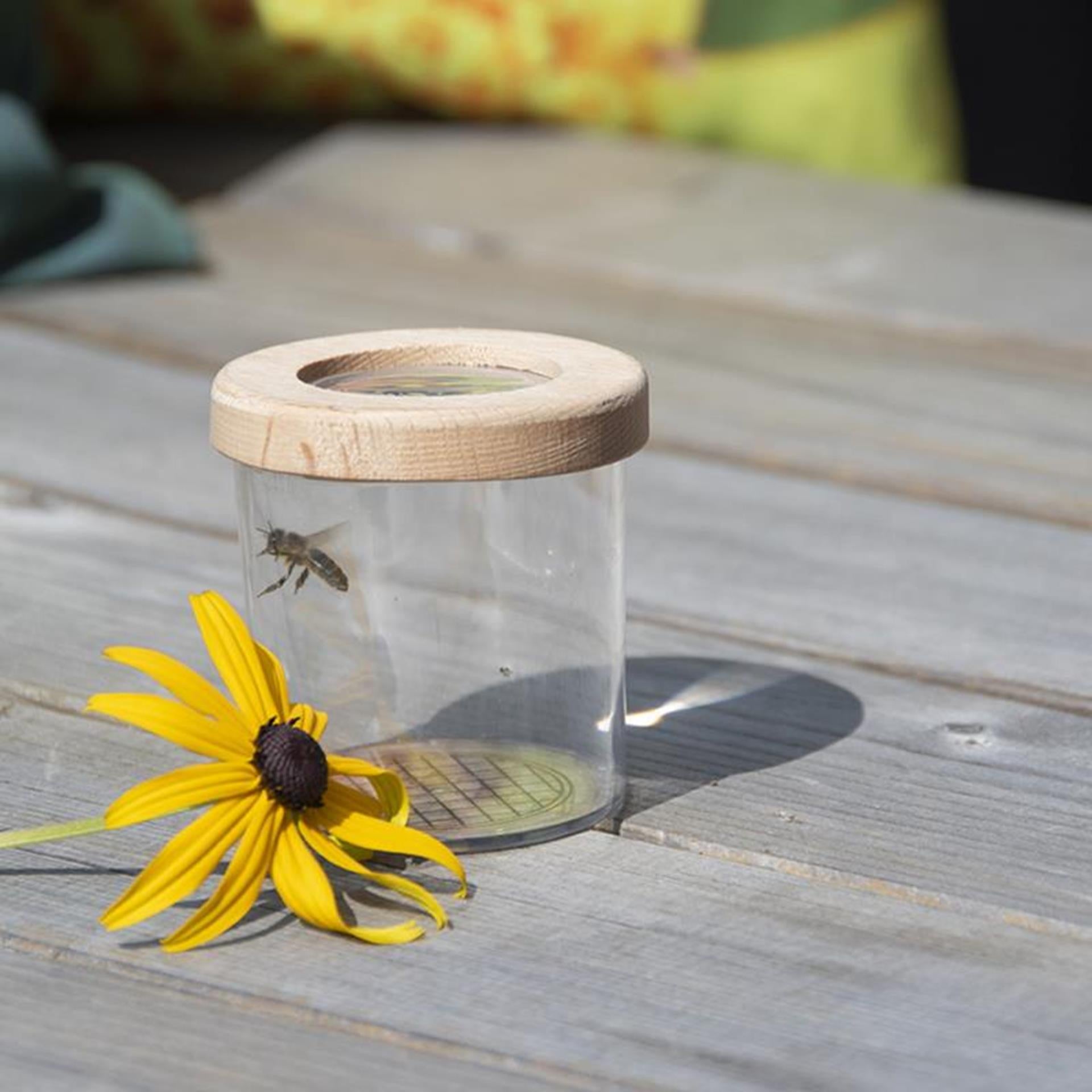 Lernbox aus Holz im Esschert-Design