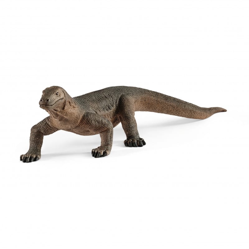 Wildleben Komodovaraan 14826