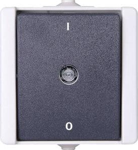 Kopp swd Aufputzschalter 2-polig - 6628020
